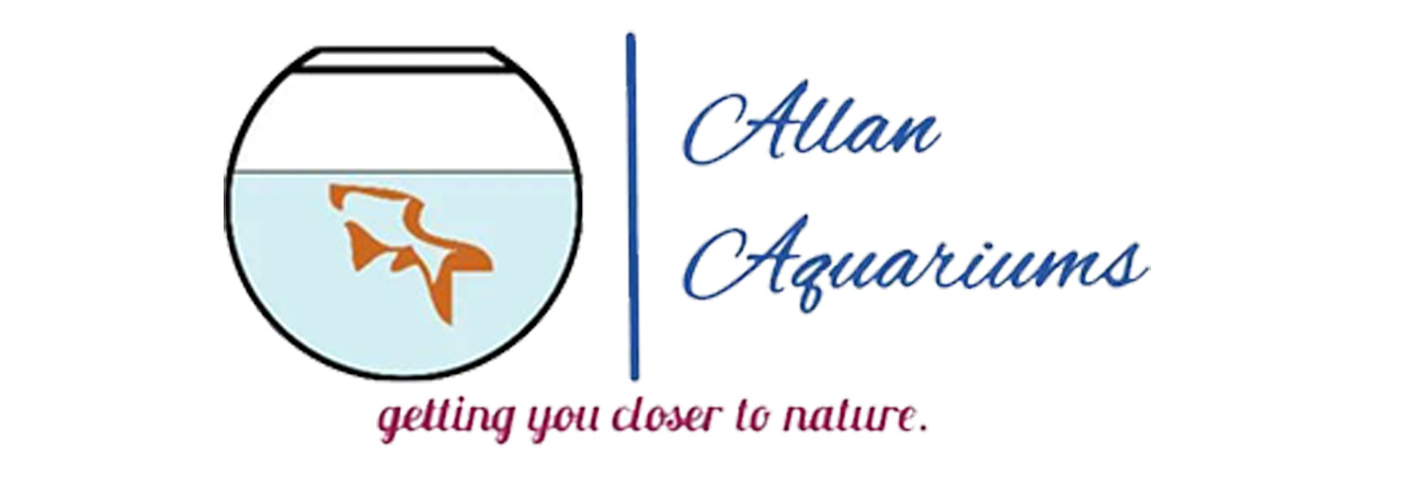 Allan Aquariums